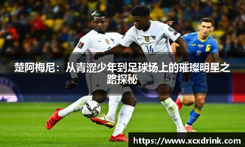 u8国际